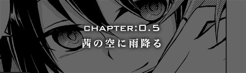CHAPTER:0.5